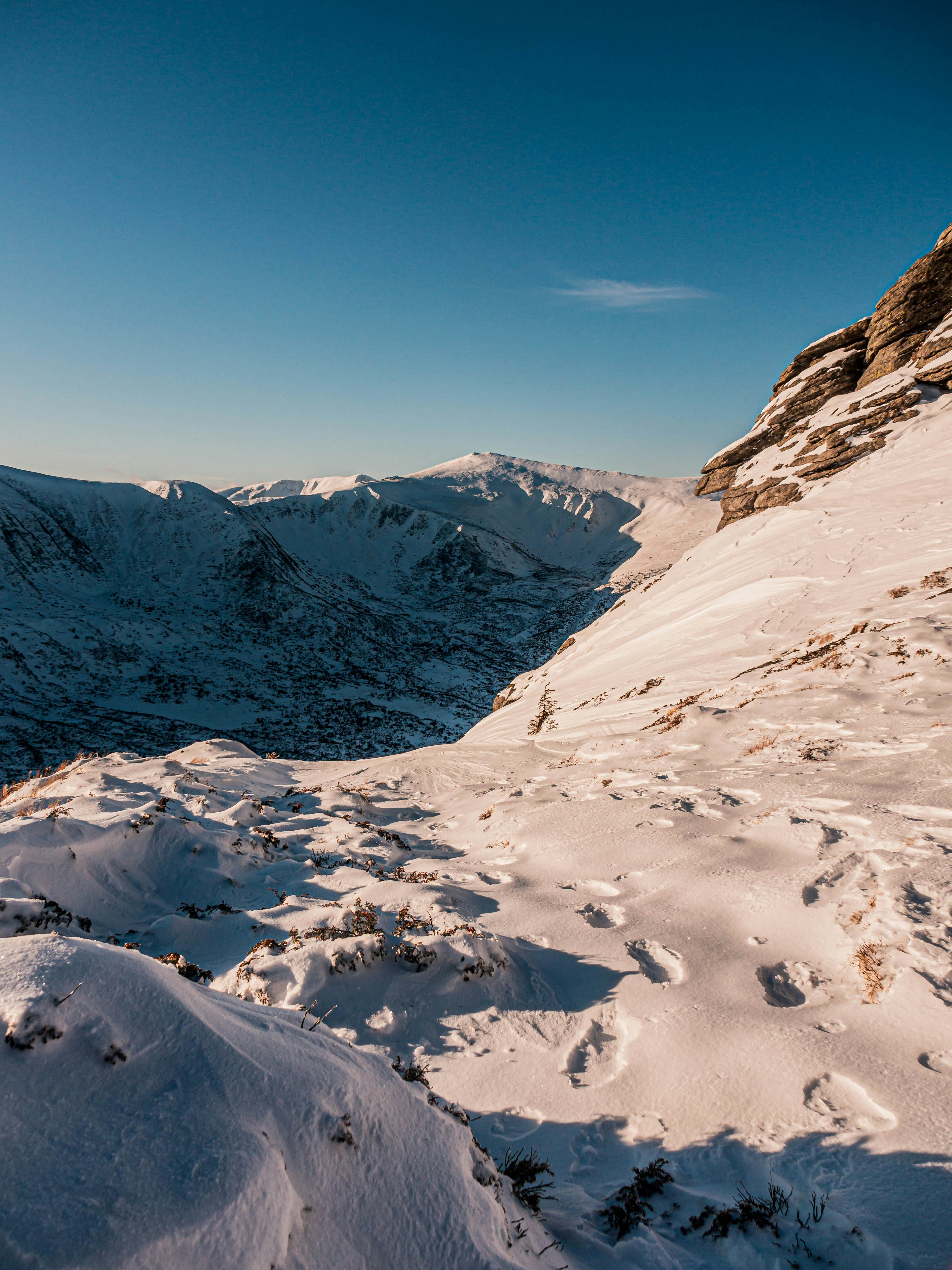 Photo by fedorchenkoalina