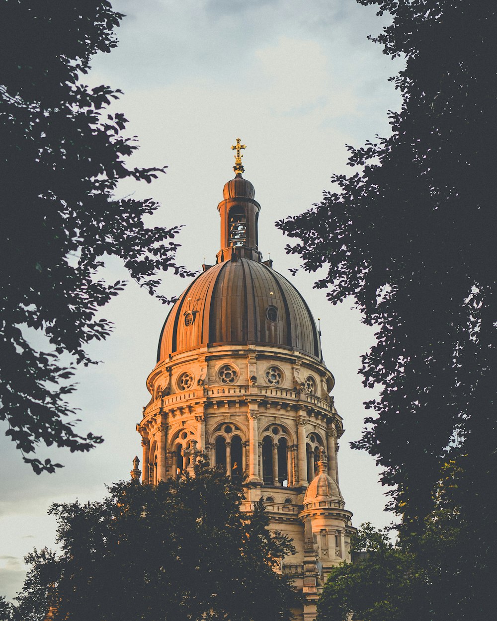 cathedrl blanc et marron