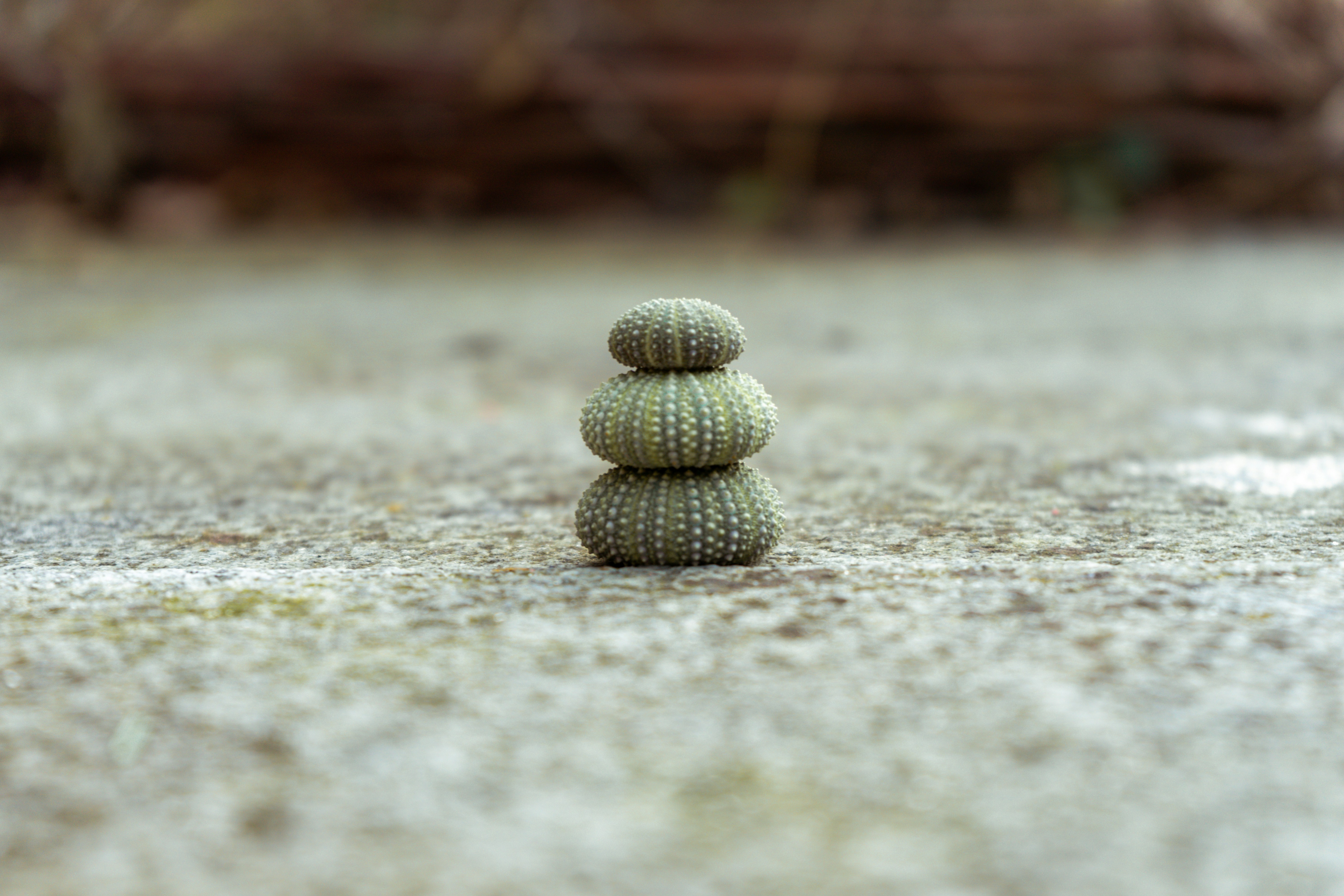 Finding Balance: Small Changes for Big Results