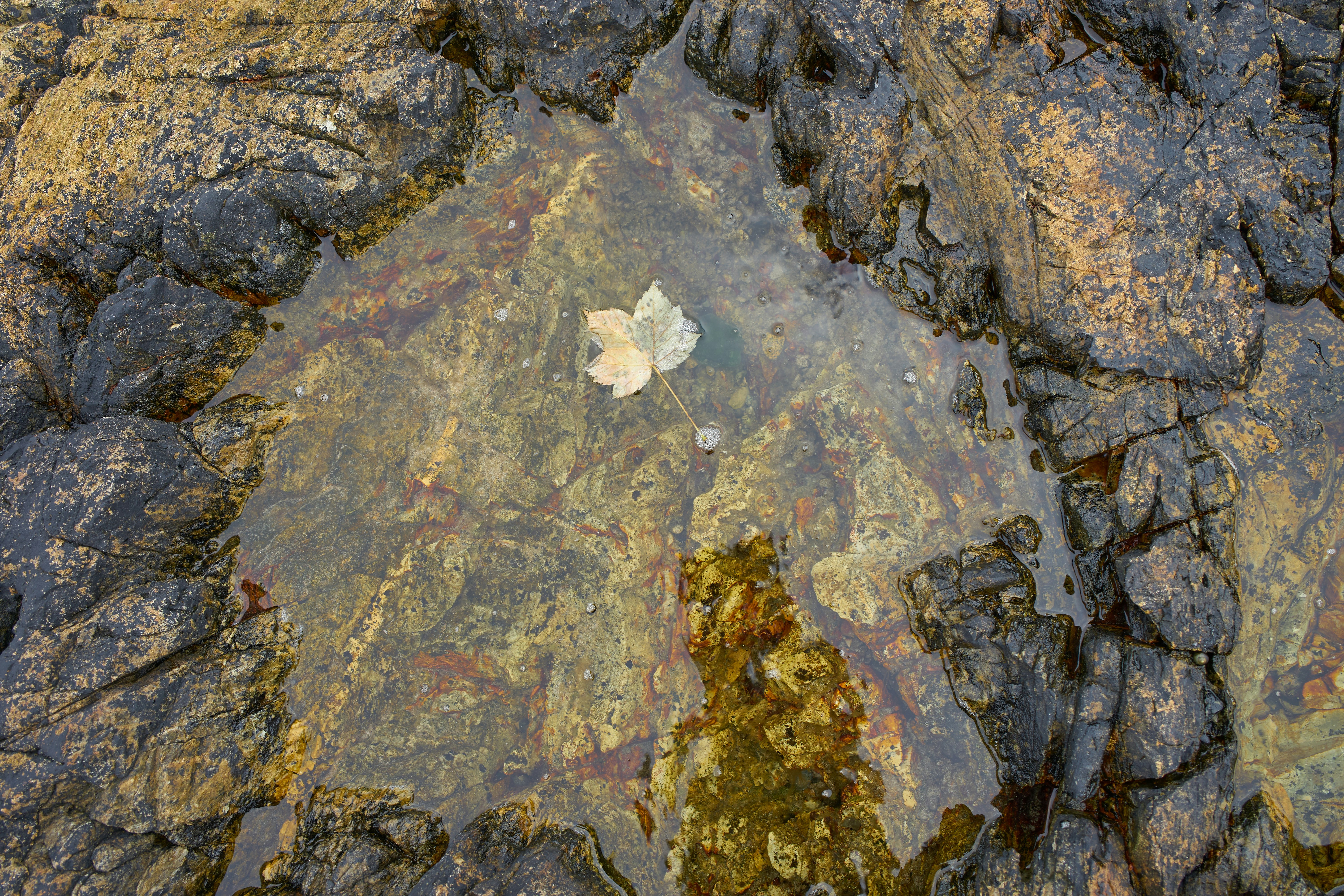 Photo by wolfgang_hasselmann