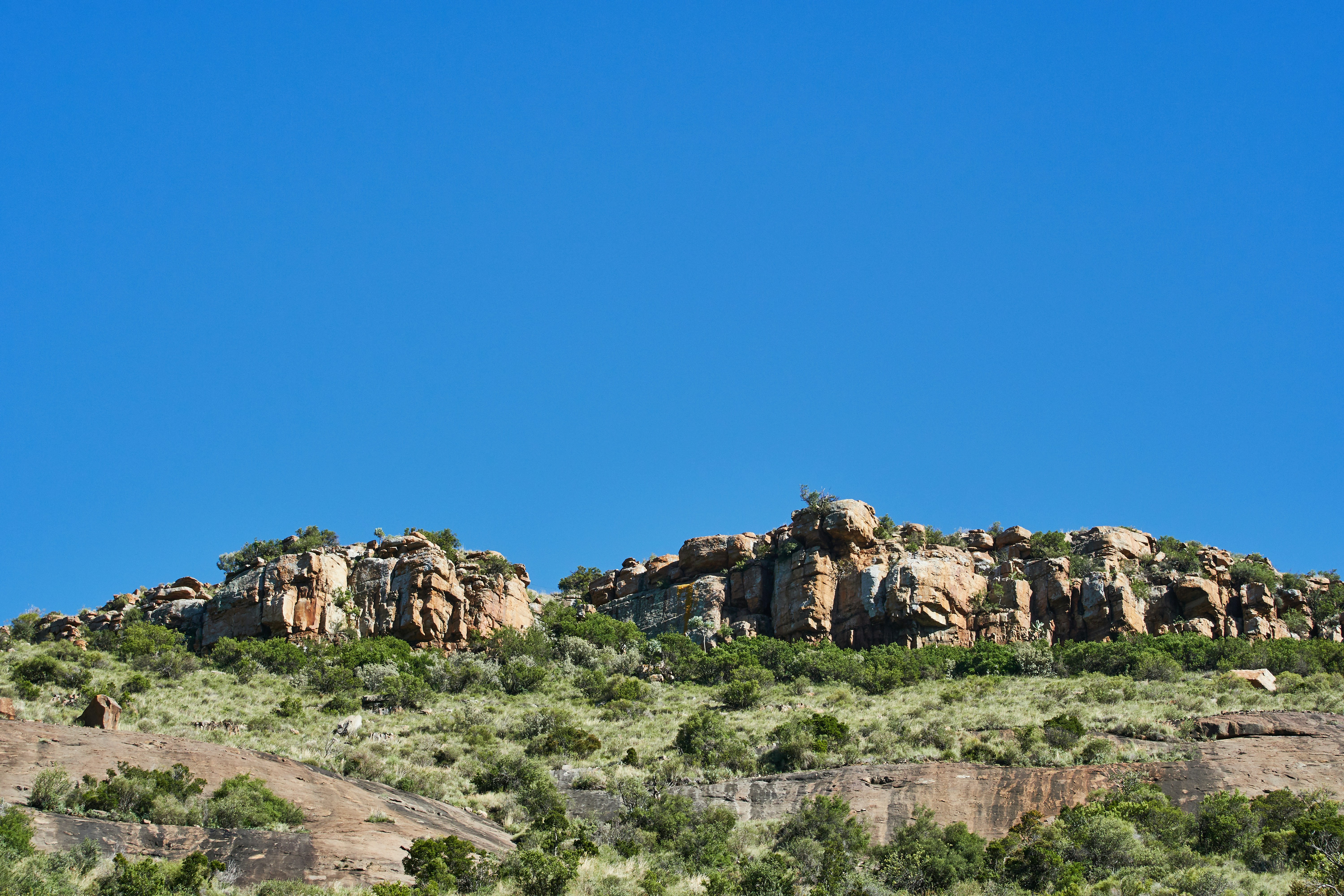 Photo by wolfgang_hasselmann