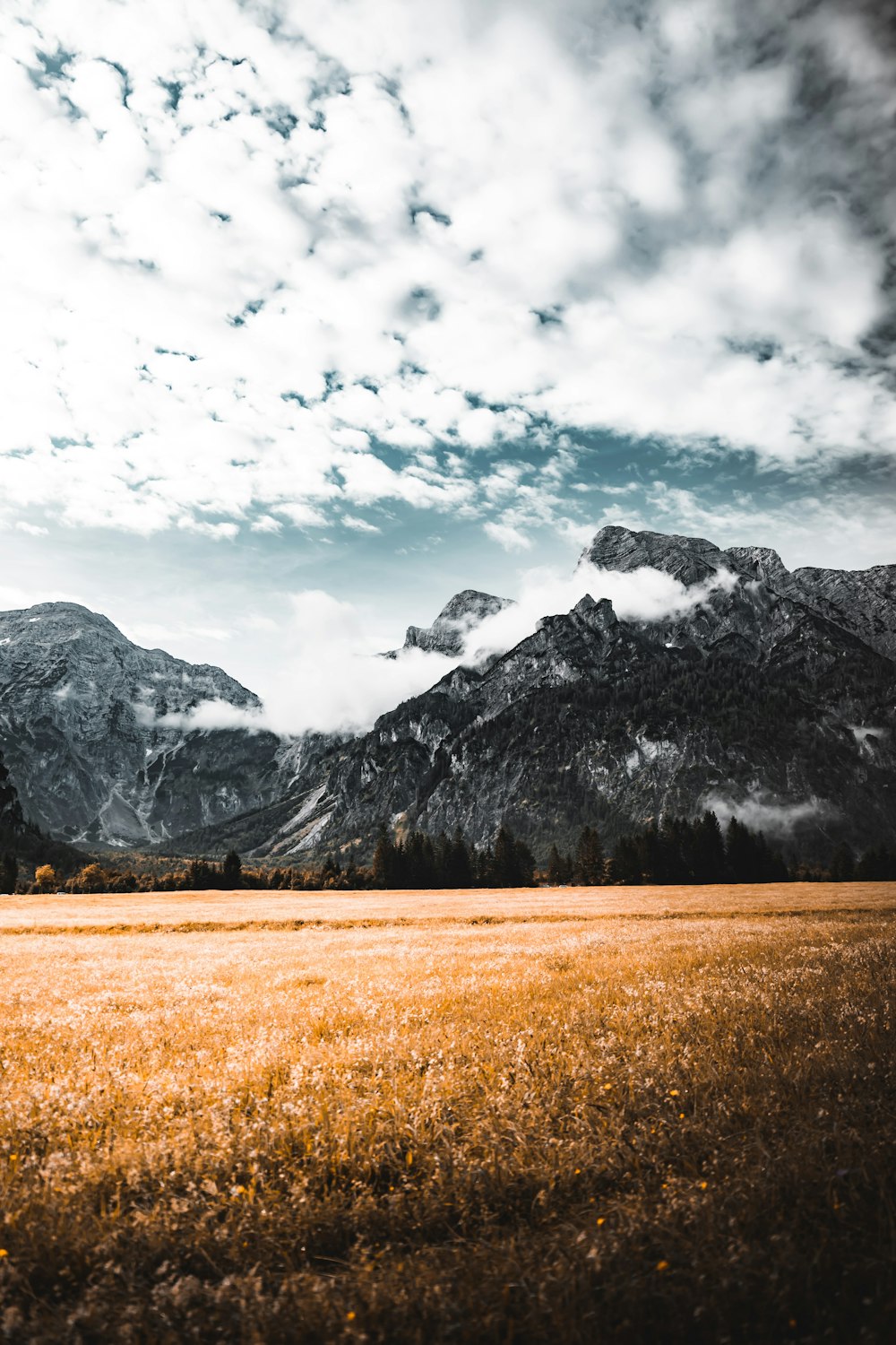 grass field and mountain ranges