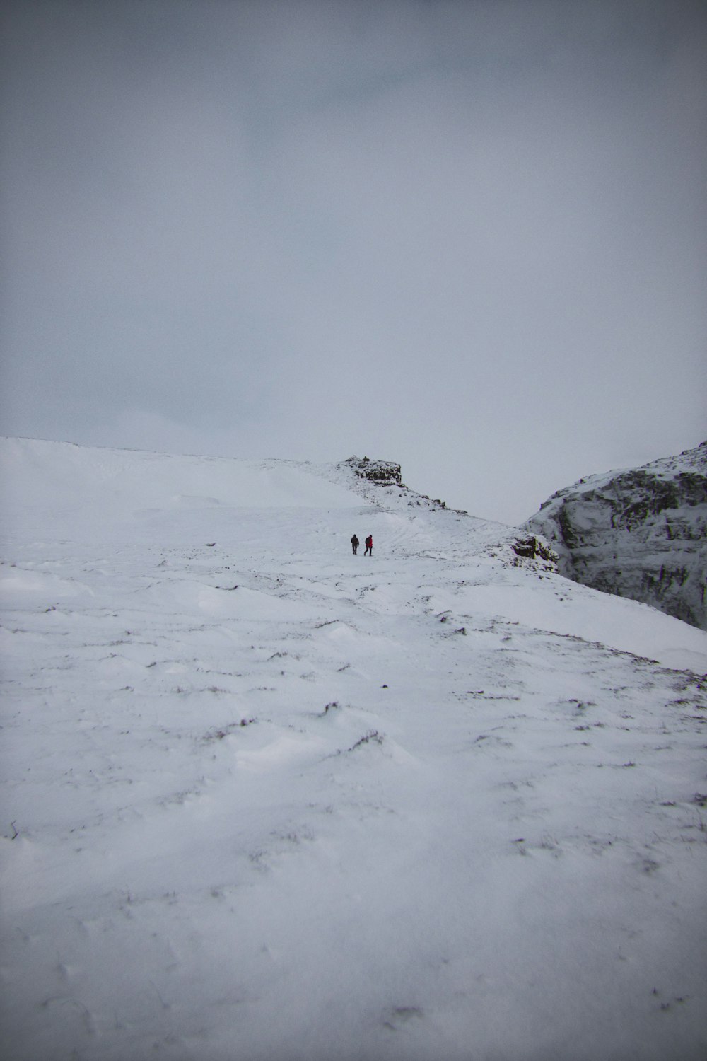 snow field under gray sky