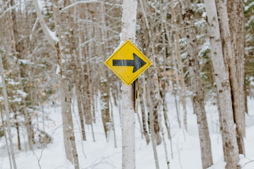A yellow diamond-shaped traffic sign with a black arrow pointing to the right is attached to a tree in a snowy forest. The background consists of numerous leafless trees with patches of snow covering the ground and branches.