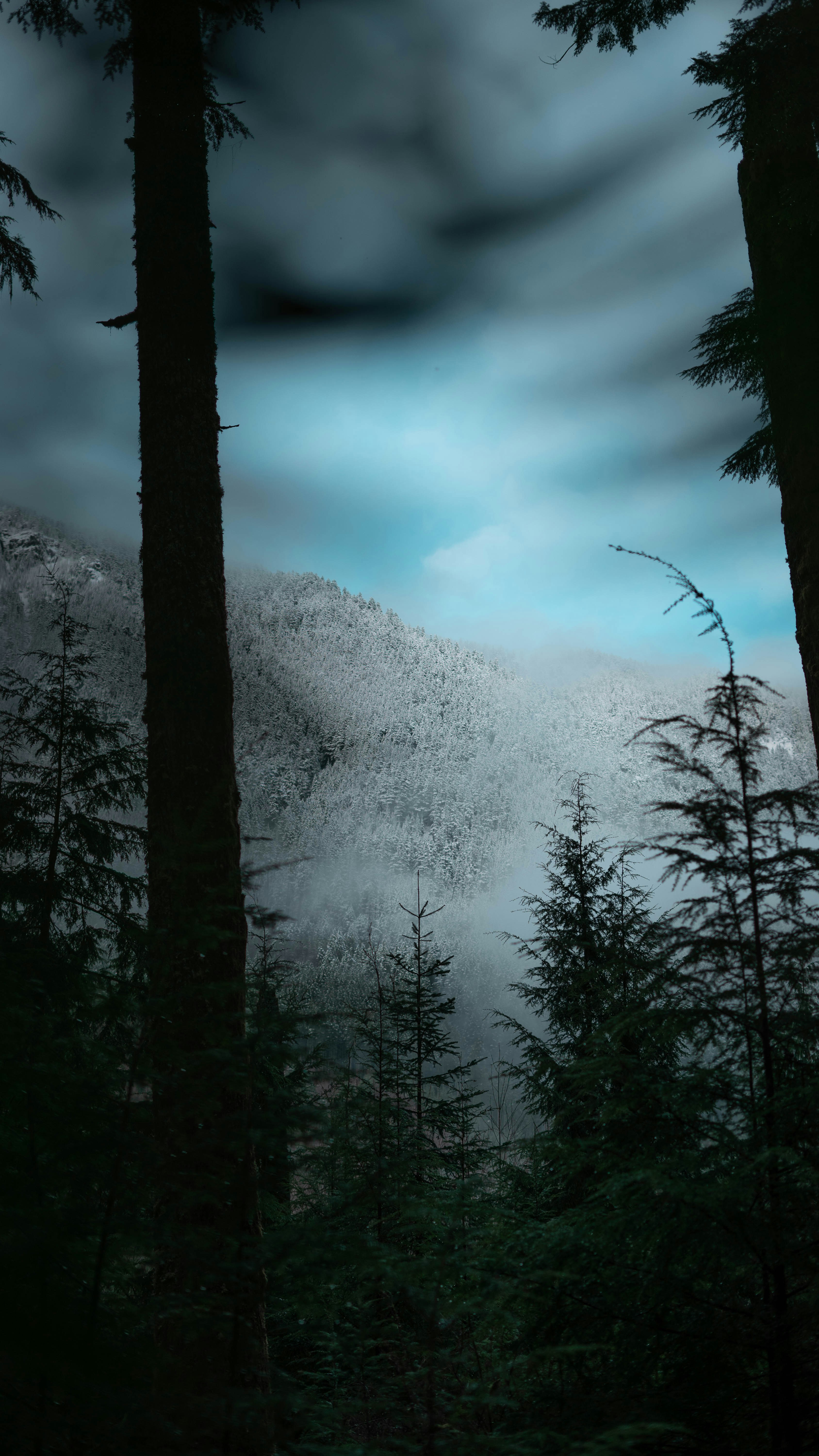 Photo by lifewithjacob