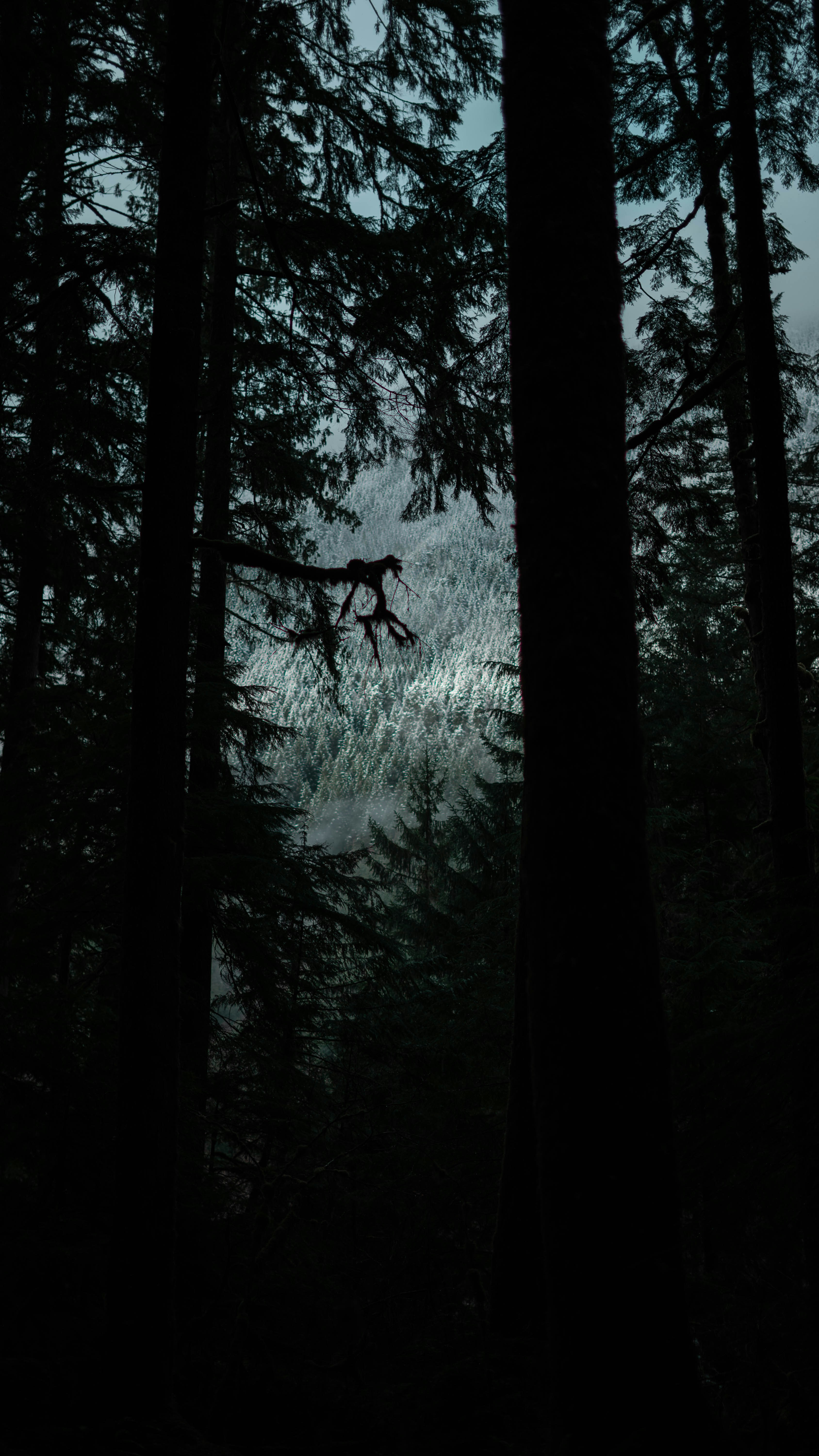 Photo by lifewithjacob