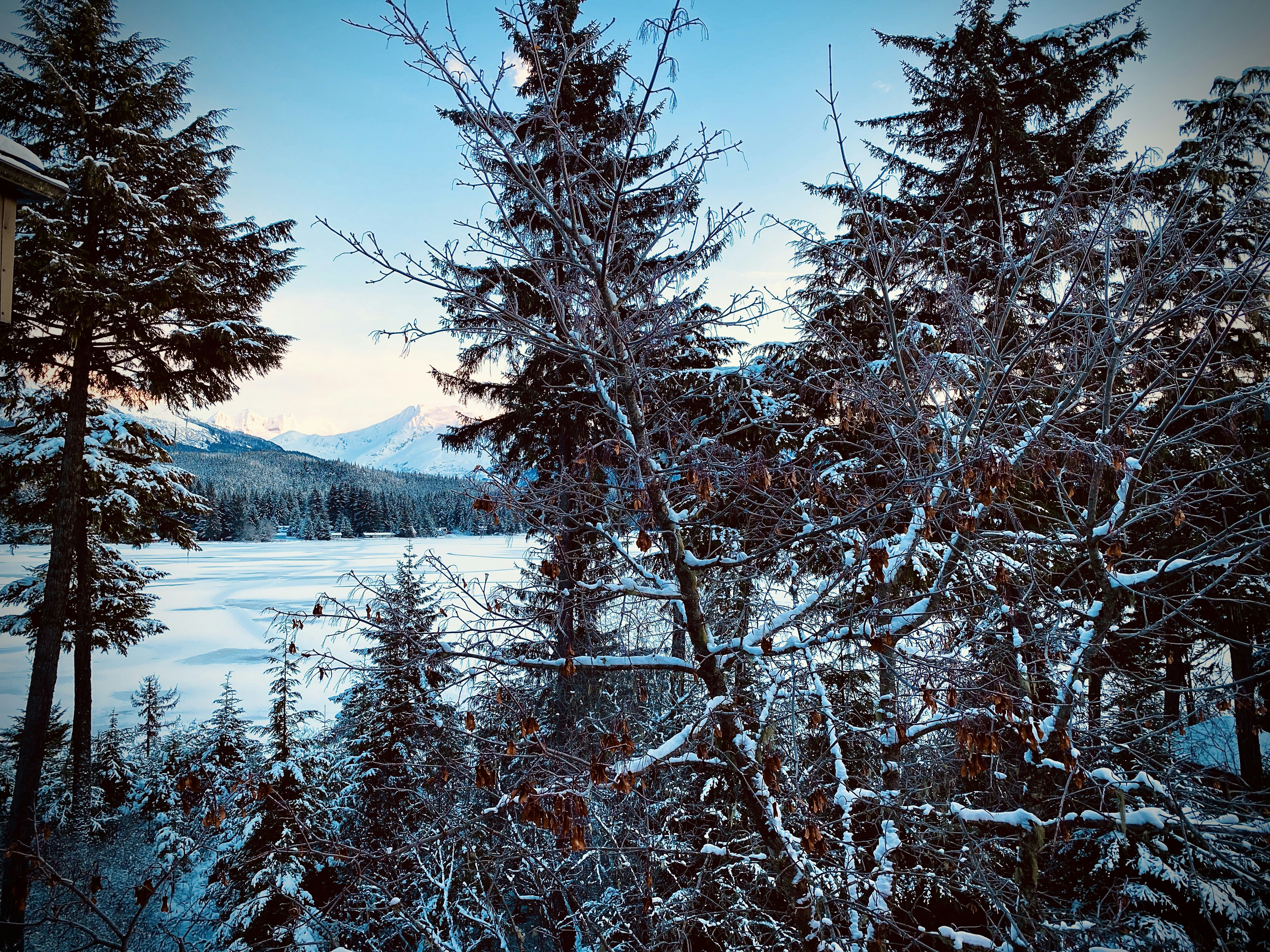 Photo by kayticloudkicker