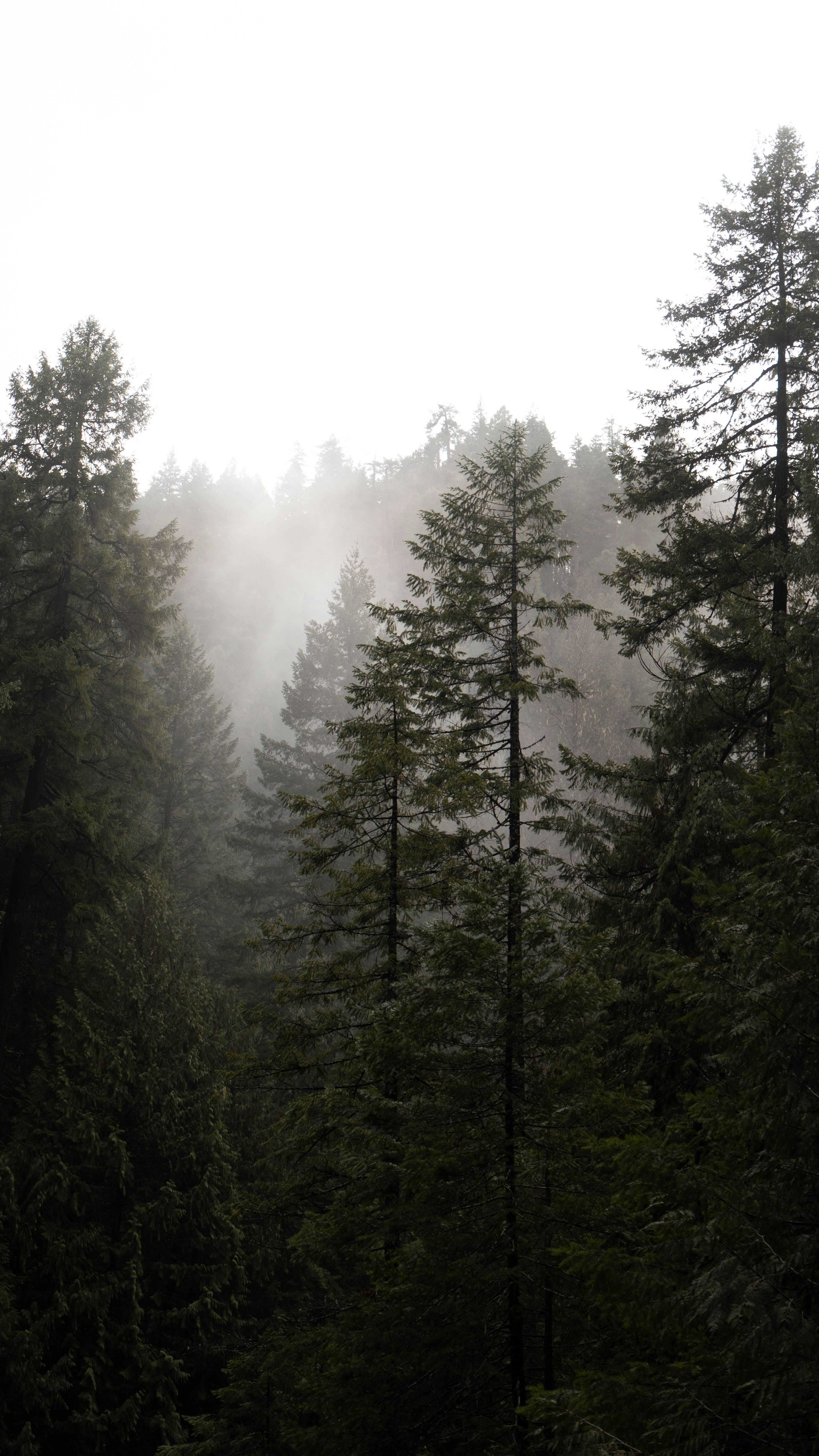 Photo by lifewithjacob