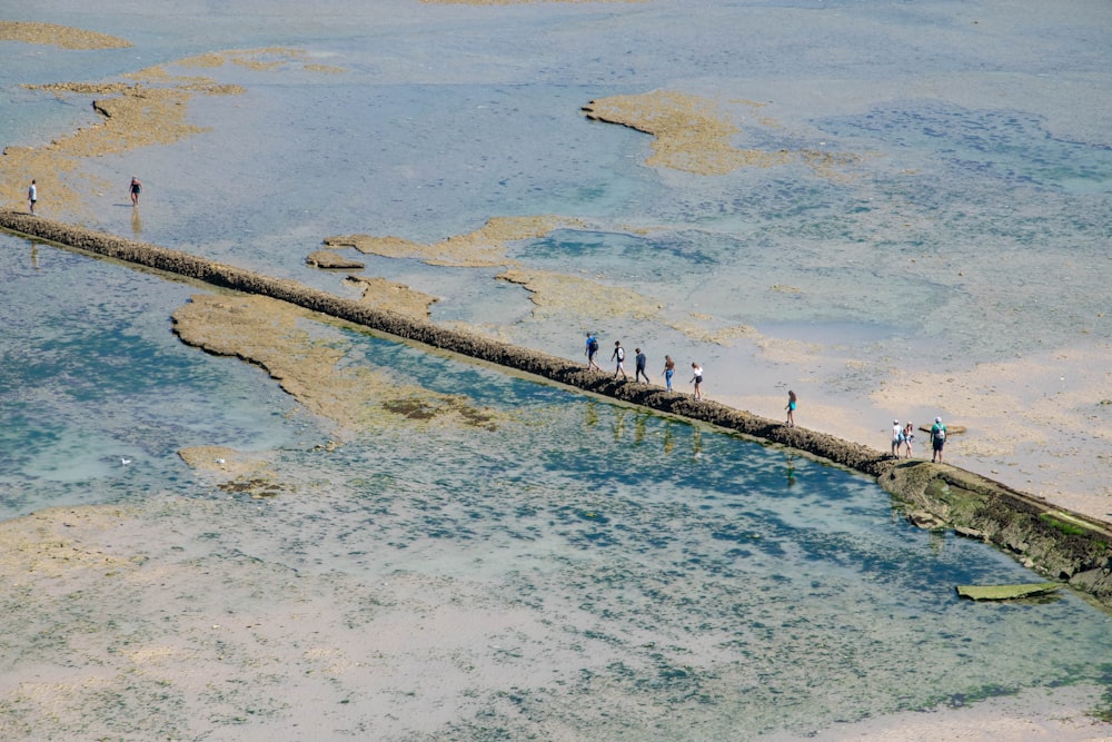 people walking on bridge