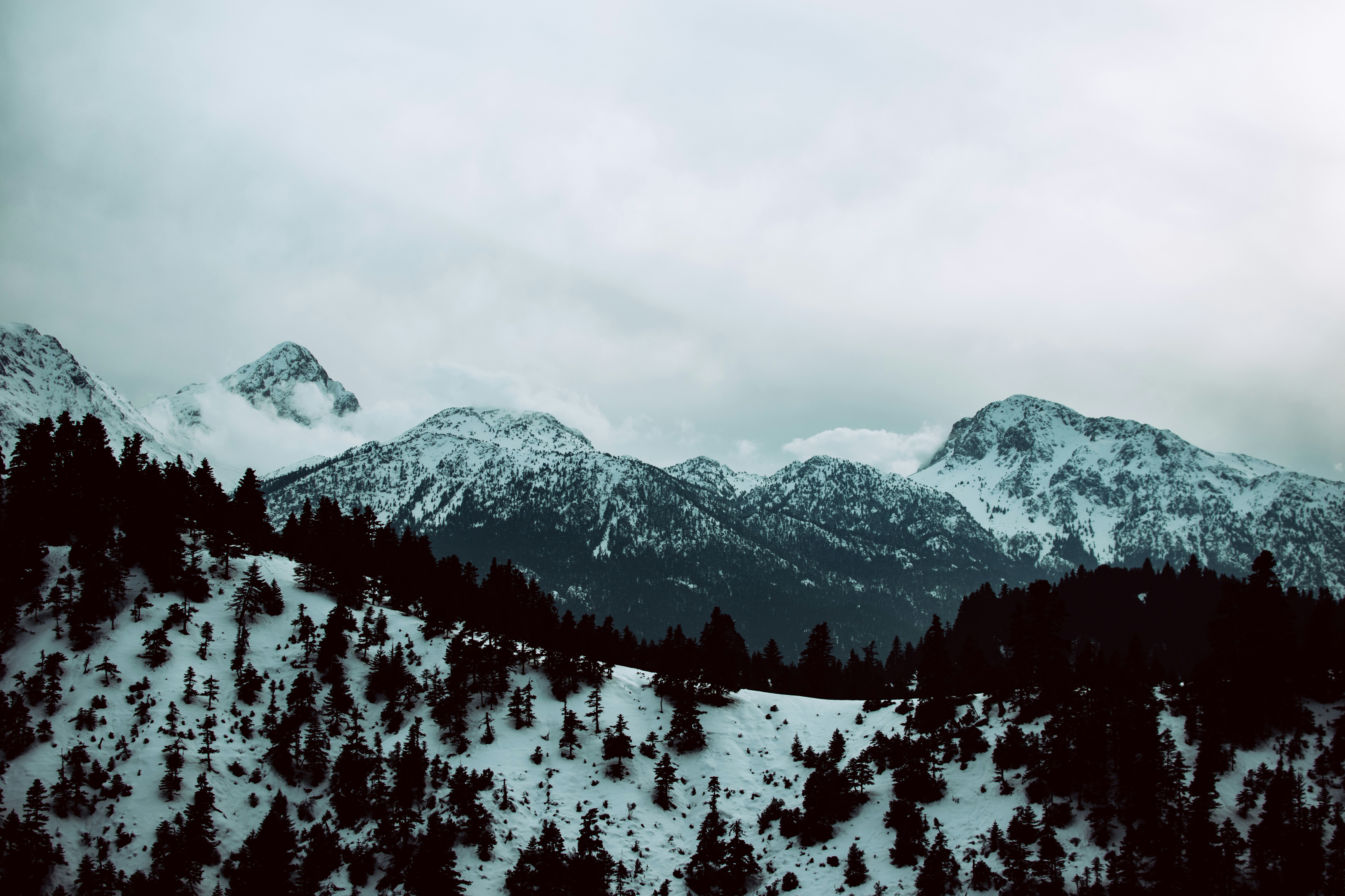 Photo by jasonblackeye