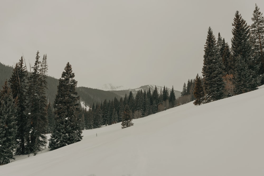 snow covered hills