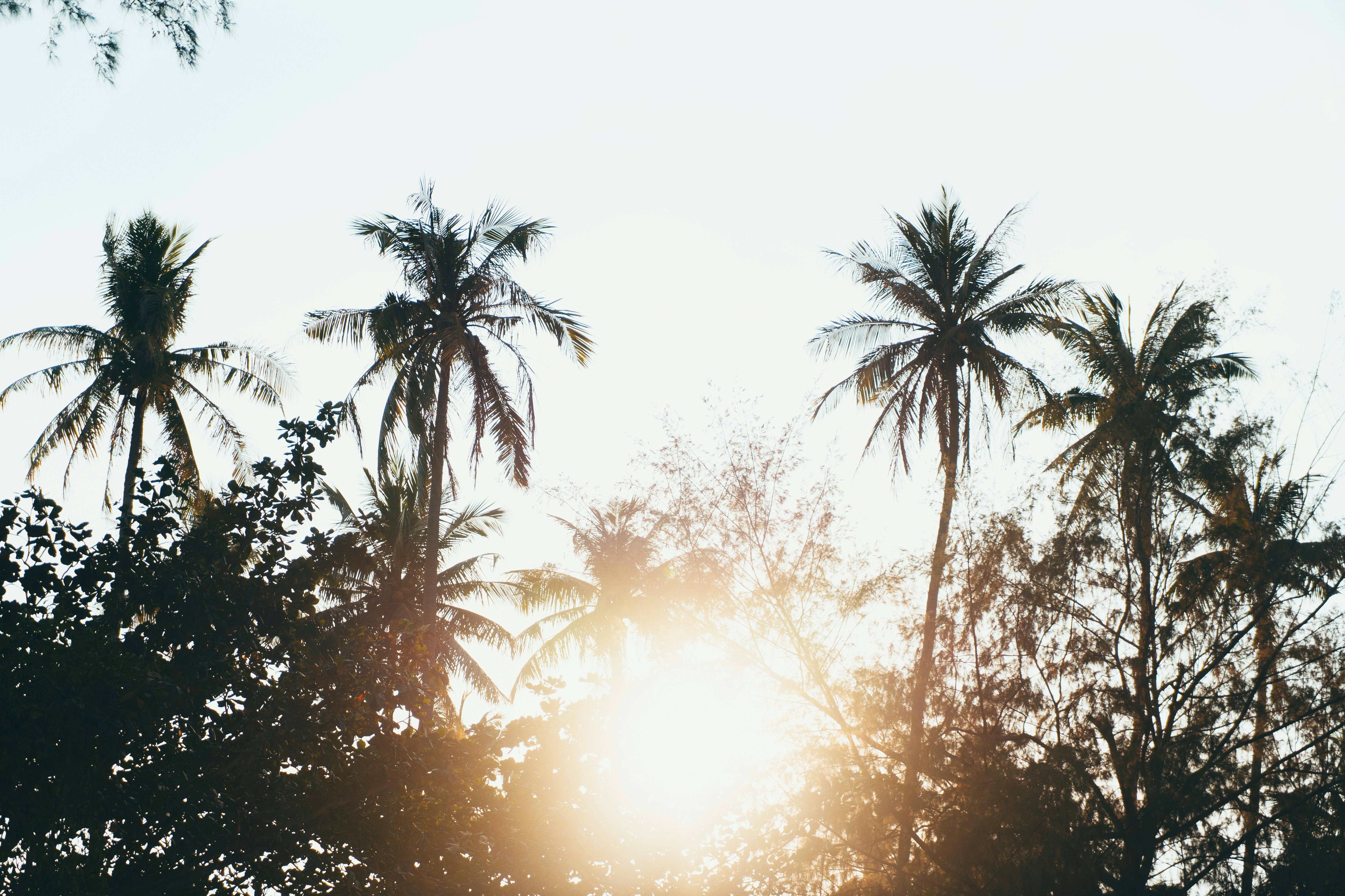 Photo by hendrik_schlott