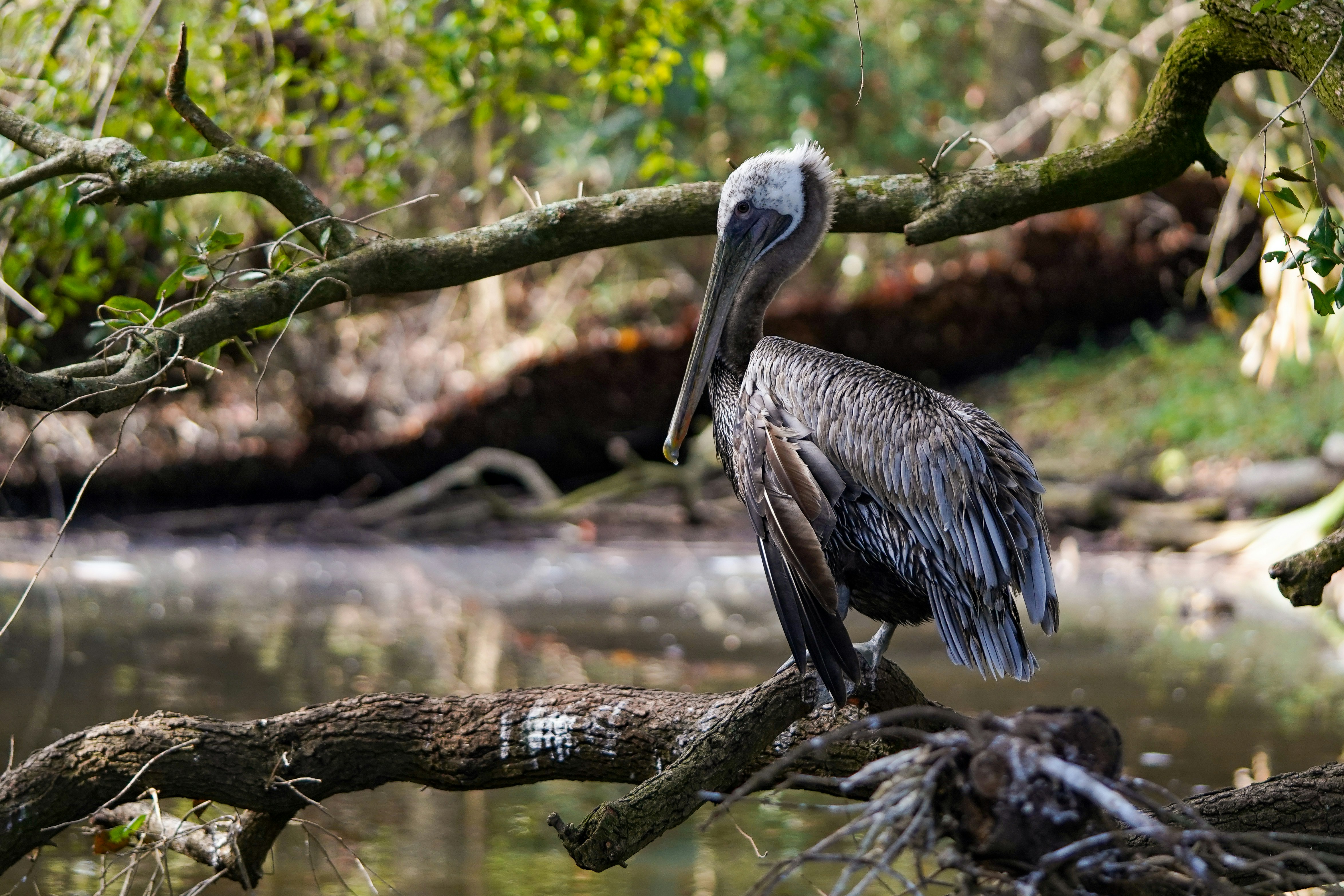 Photo by joshddurham