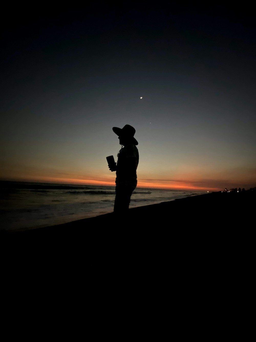 silhouette photo of person standing on shoreline