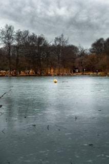 A frozen lake with a yellow buoy at its center, surrounded by barren trees under a cloudy sky.