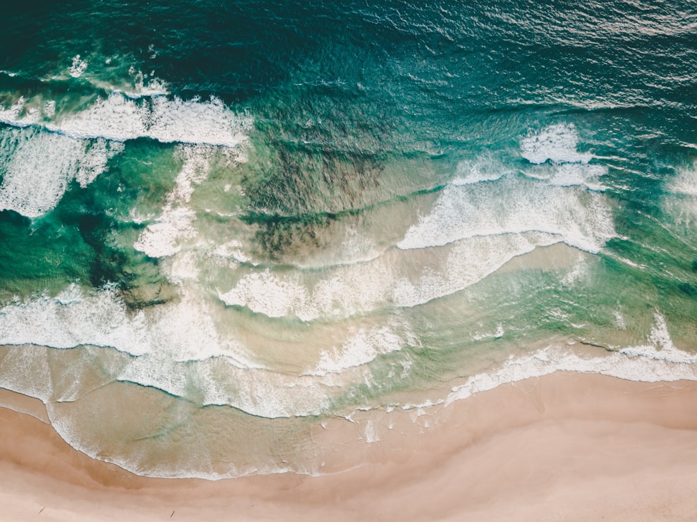 aerial photograph of beach