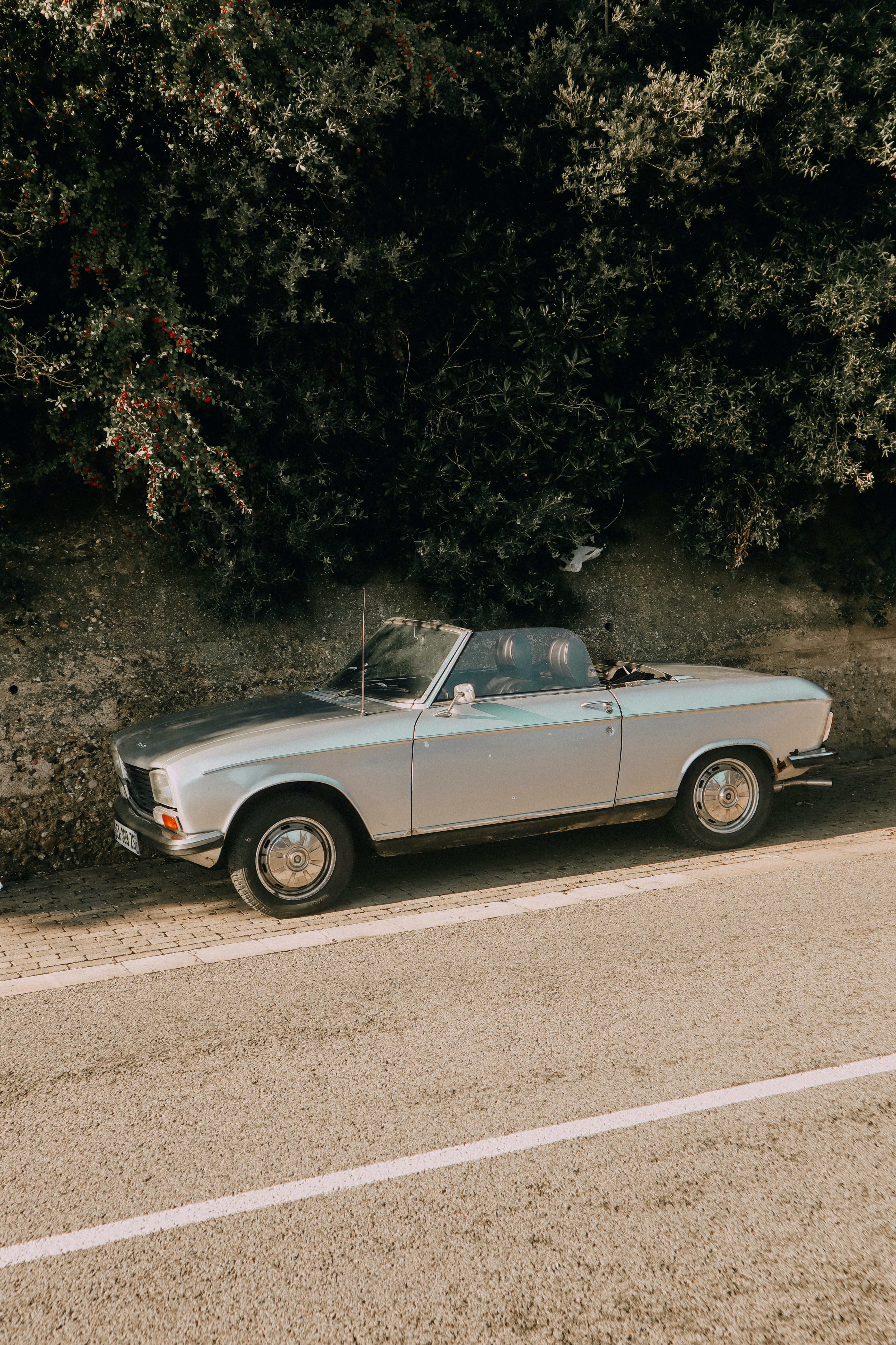 gray coupe screenshot