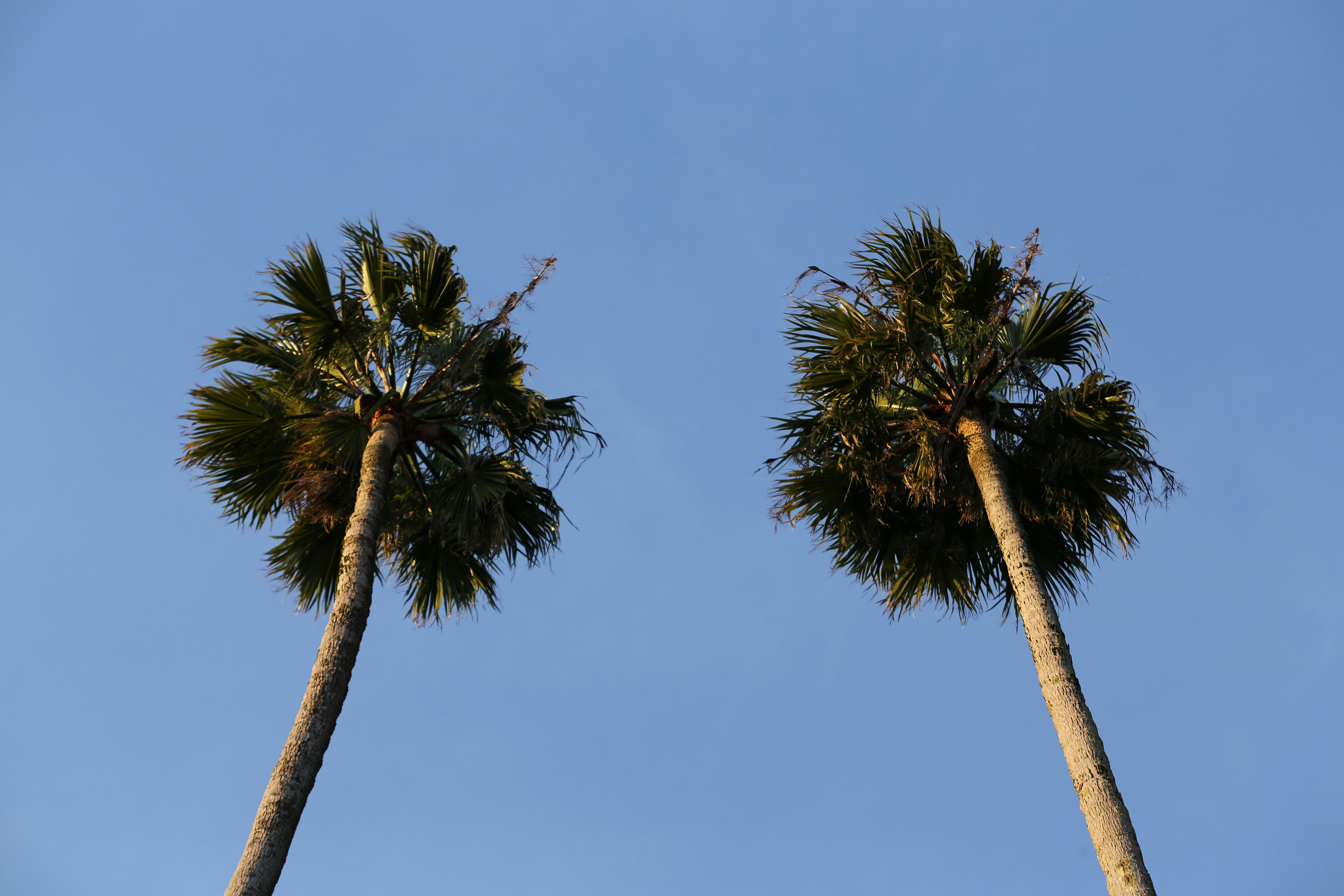 Photo by herrherrmann