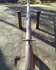 Wooden seesaw in natural park setting with children laughing.
