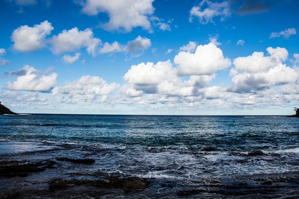 seashore under cloudy sky