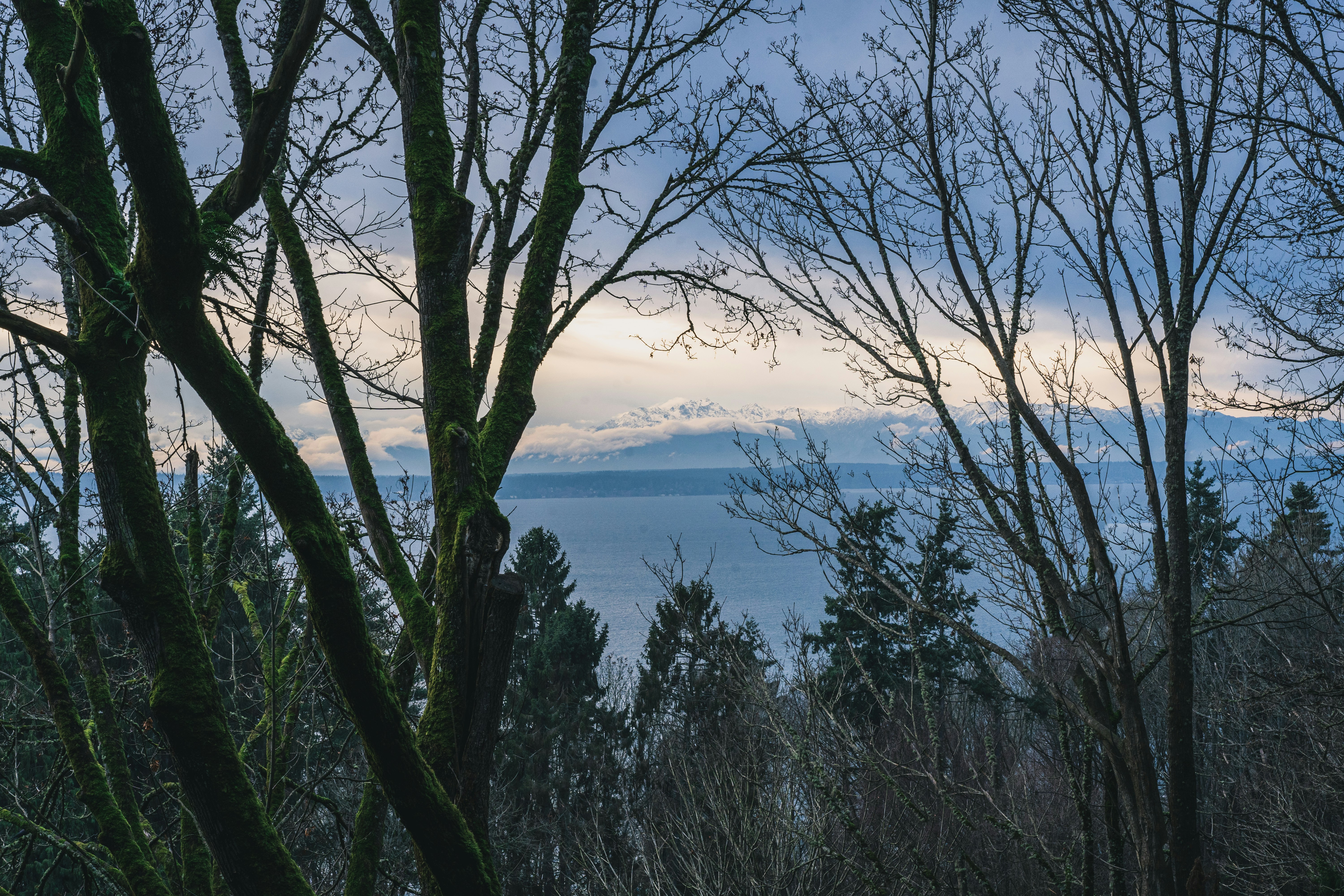 Photo by zacharykadolph