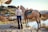 woman near horse