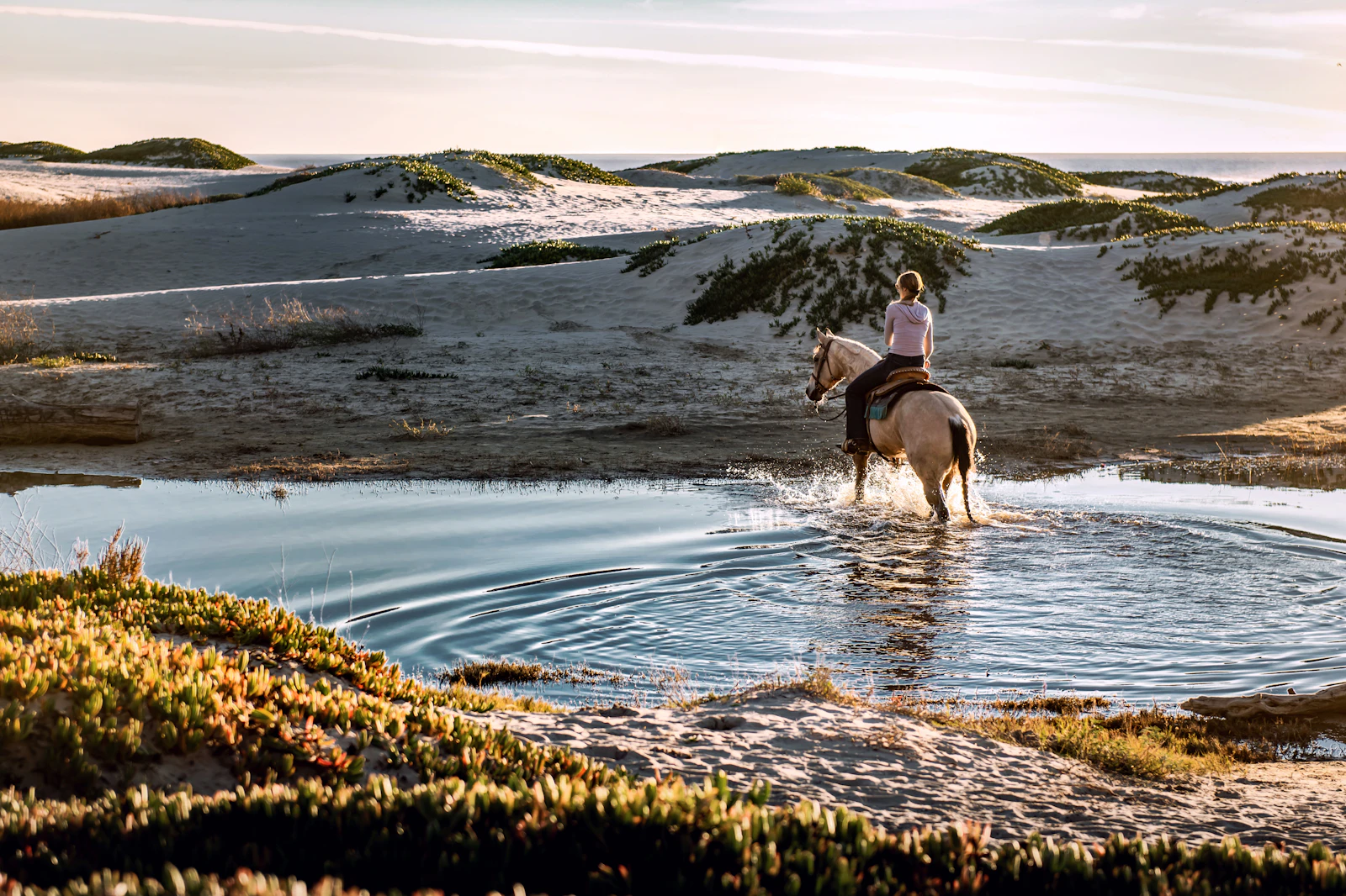 Private Horse Riding — Desert Dunes & Red Sea Beach