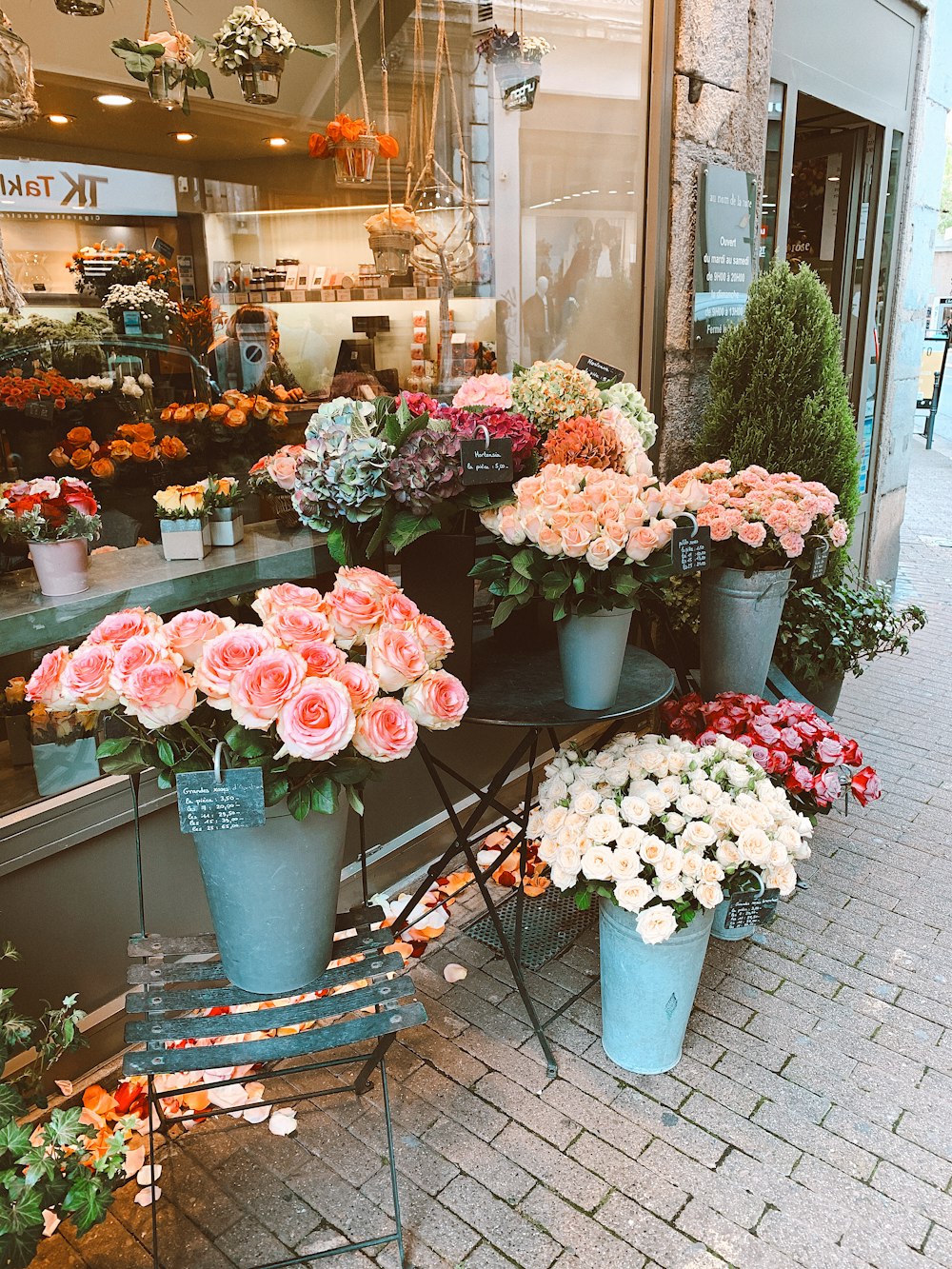 assorted colors and varieties of flowers