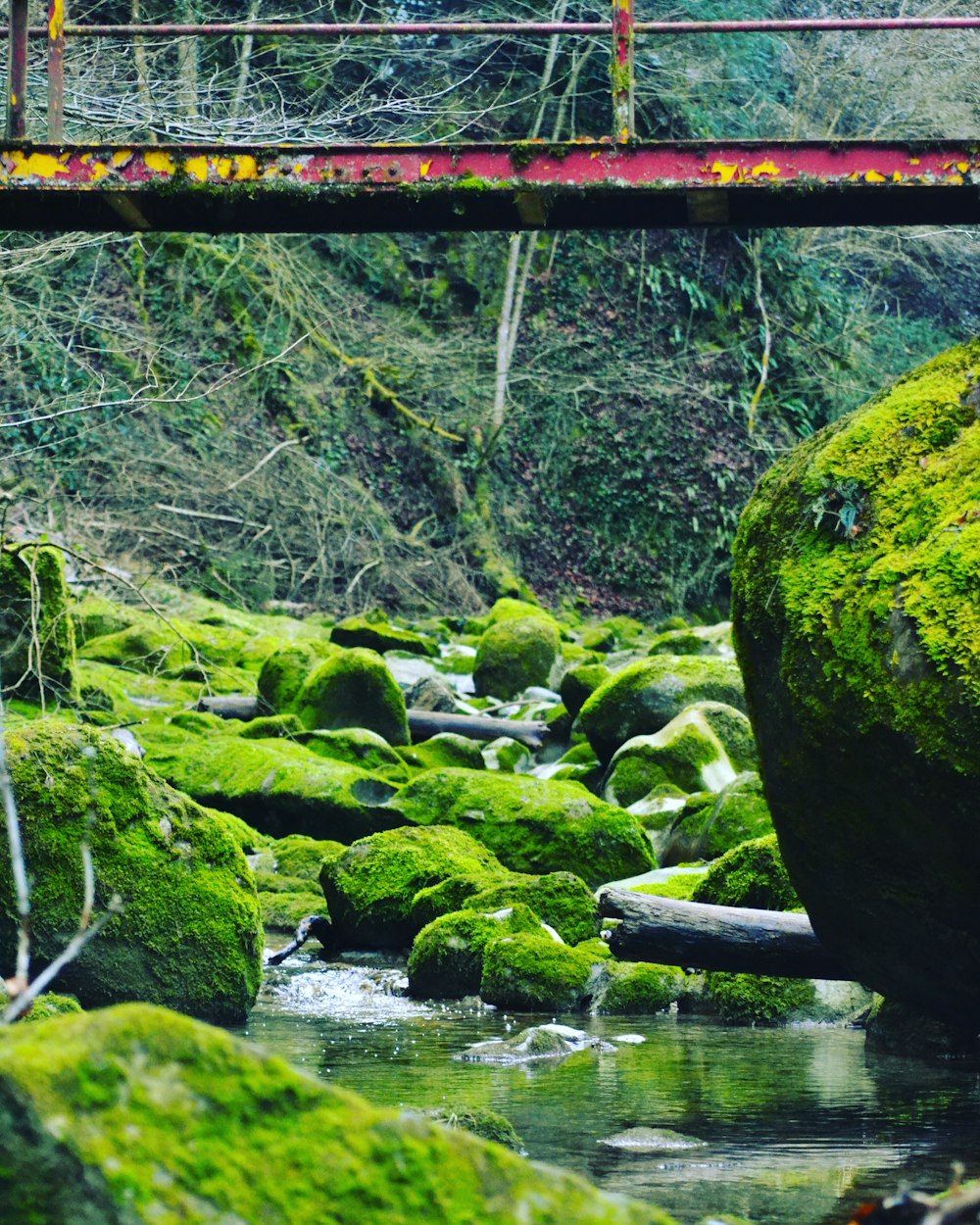 green moss on rocks near river under bridge