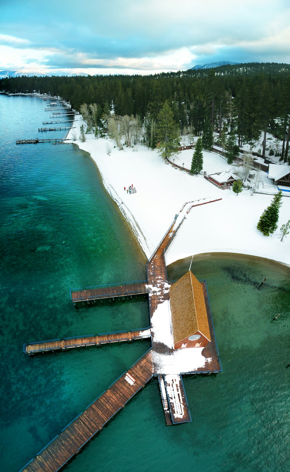 wooden dock near trees