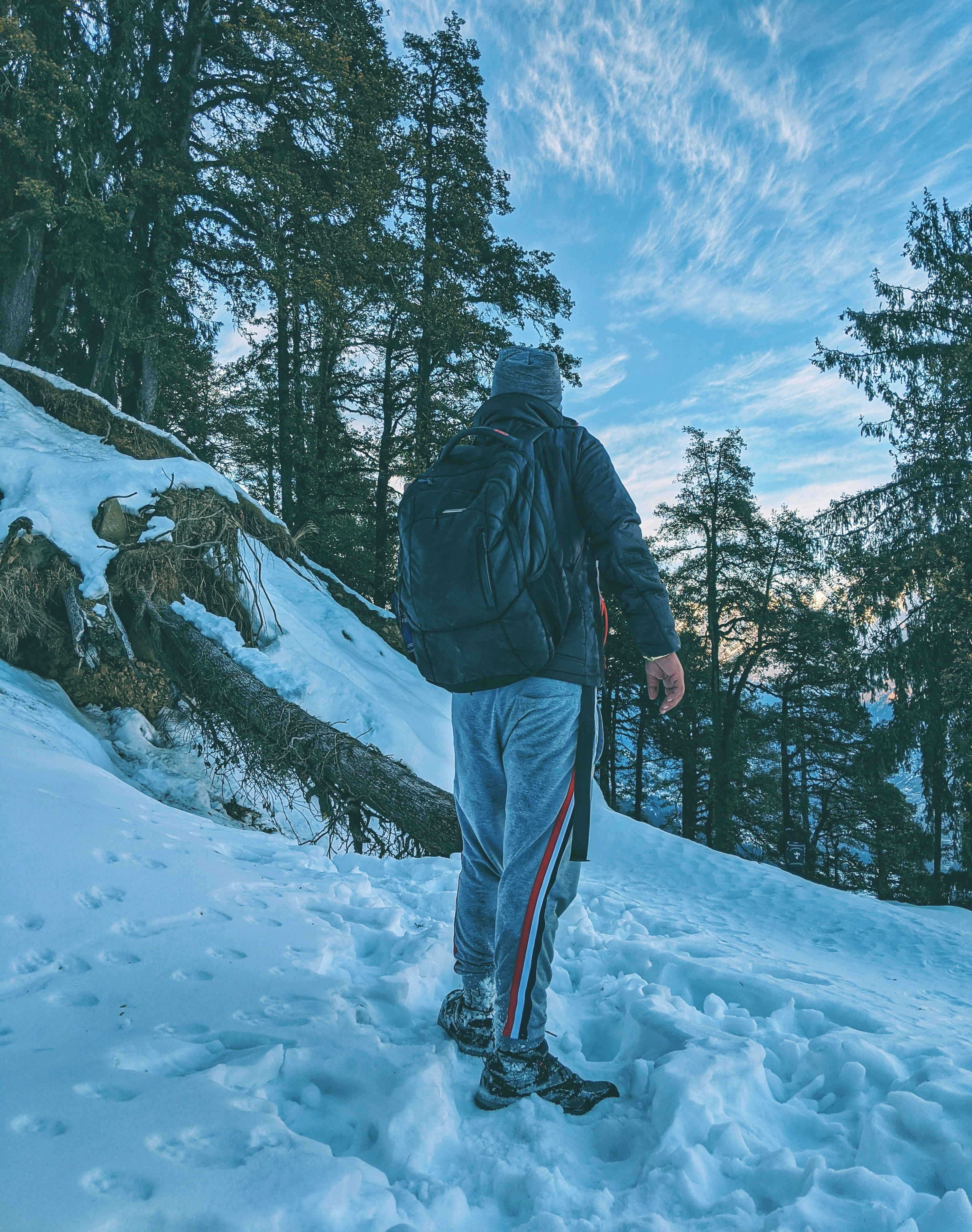 Photo by suicide_chewbacca