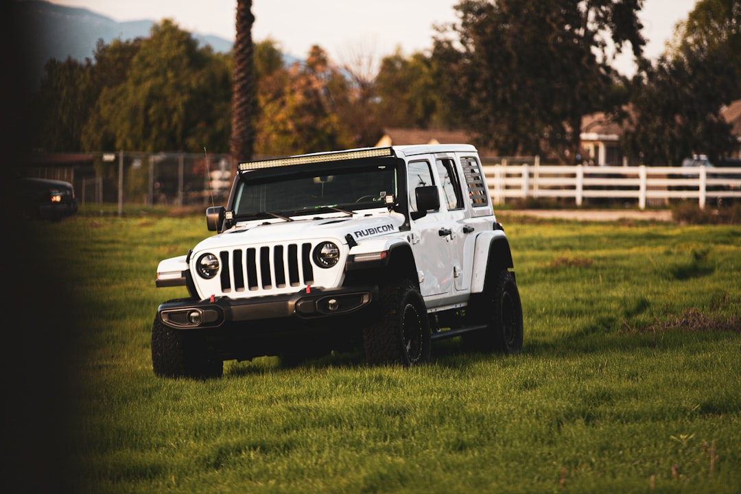 white jeep wrangler on green grass field during daytime