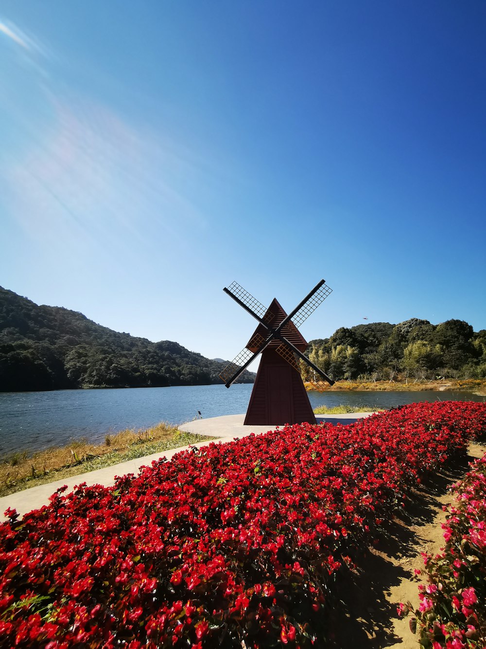 red flower field near windmill