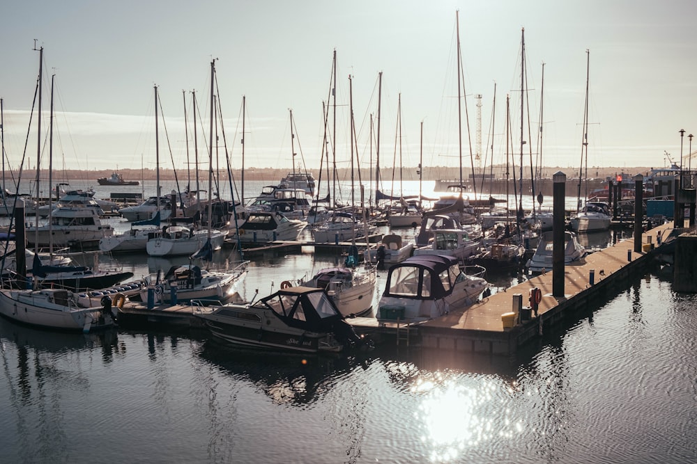 parked boats near dock