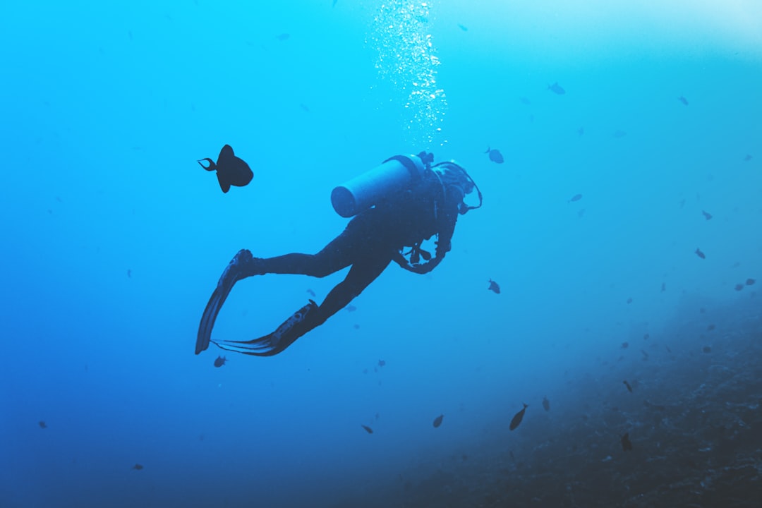 person scuba diving,