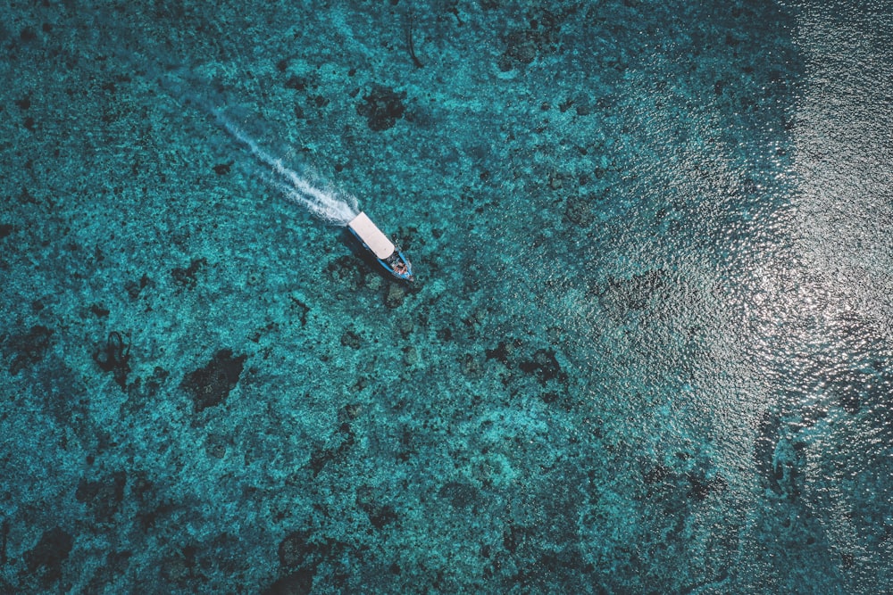 motorboat on sea