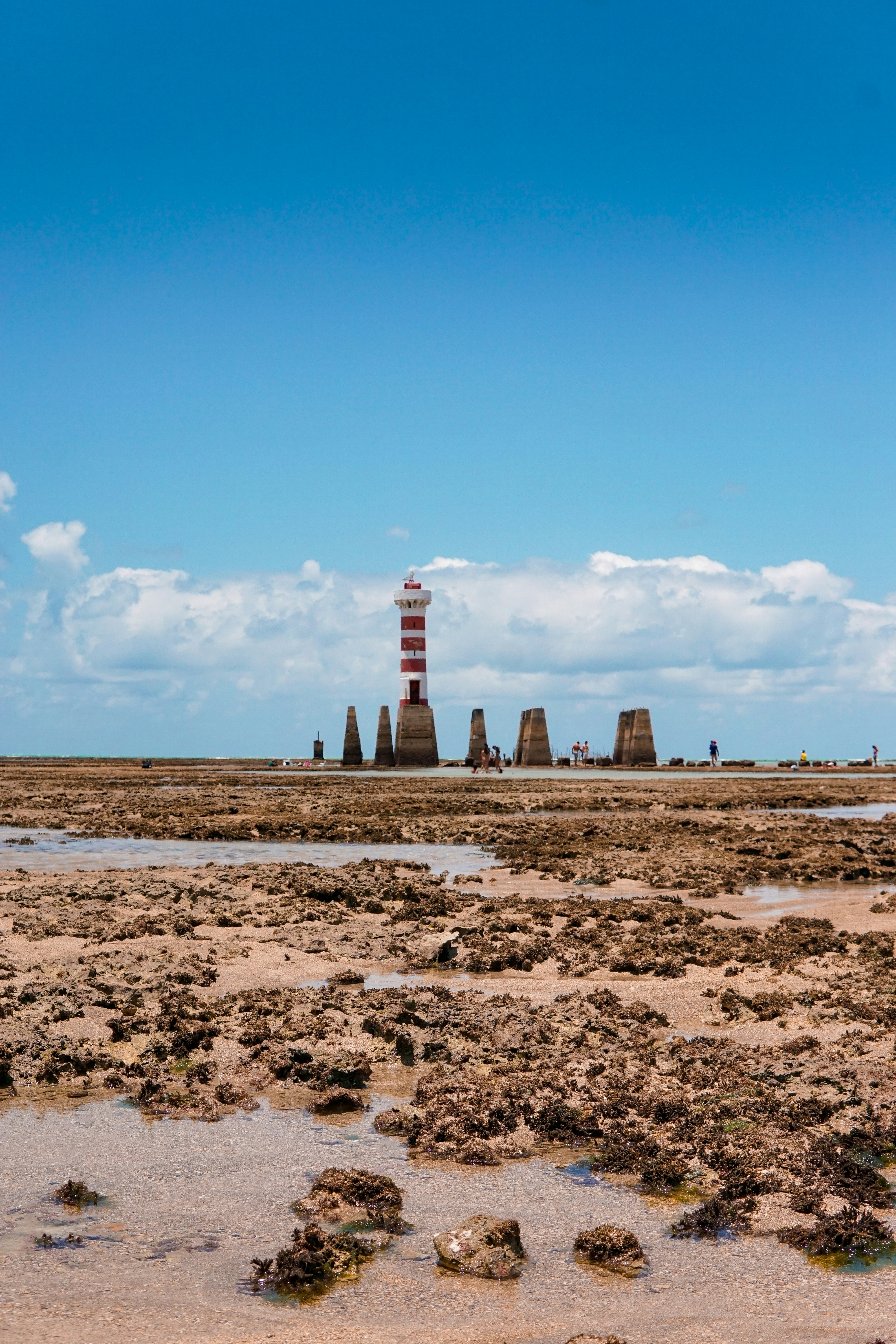 scattered stone on beach