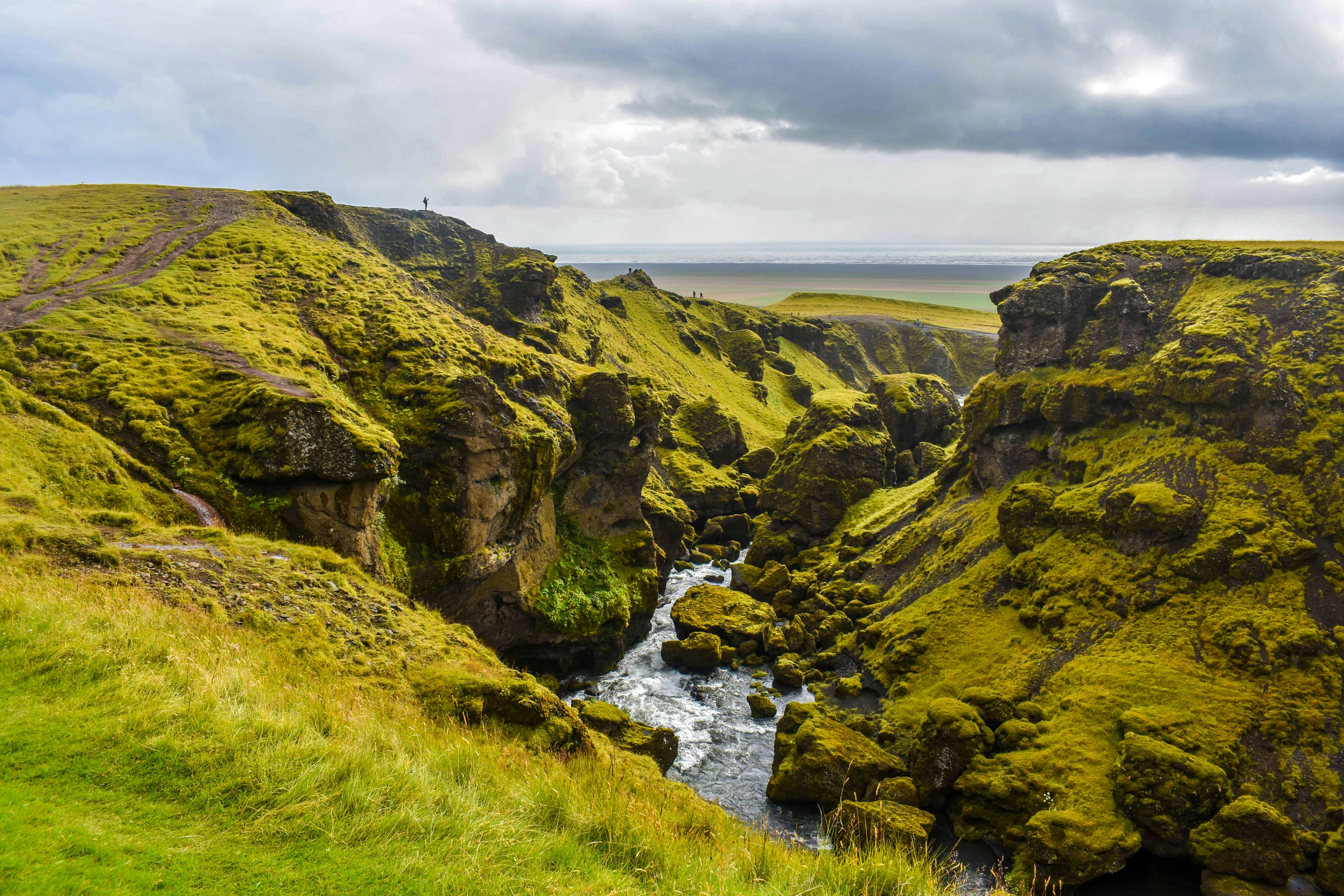 Photo by saveforlaterphoto