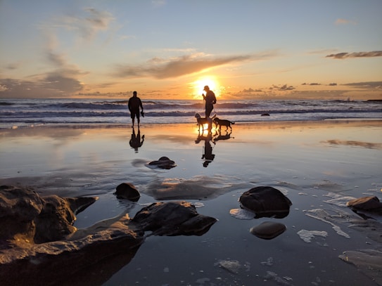 A serene beach scene during sunset showcases two silhouetted individuals and a dog walking along the shoreline. The sky is painted with warm hues of orange and yellow as the sun dips below the horizon. Reflections on the wet sand create a mirror effect, enhancing the tranquil atmosphere. Rocks are scattered across the foreground.