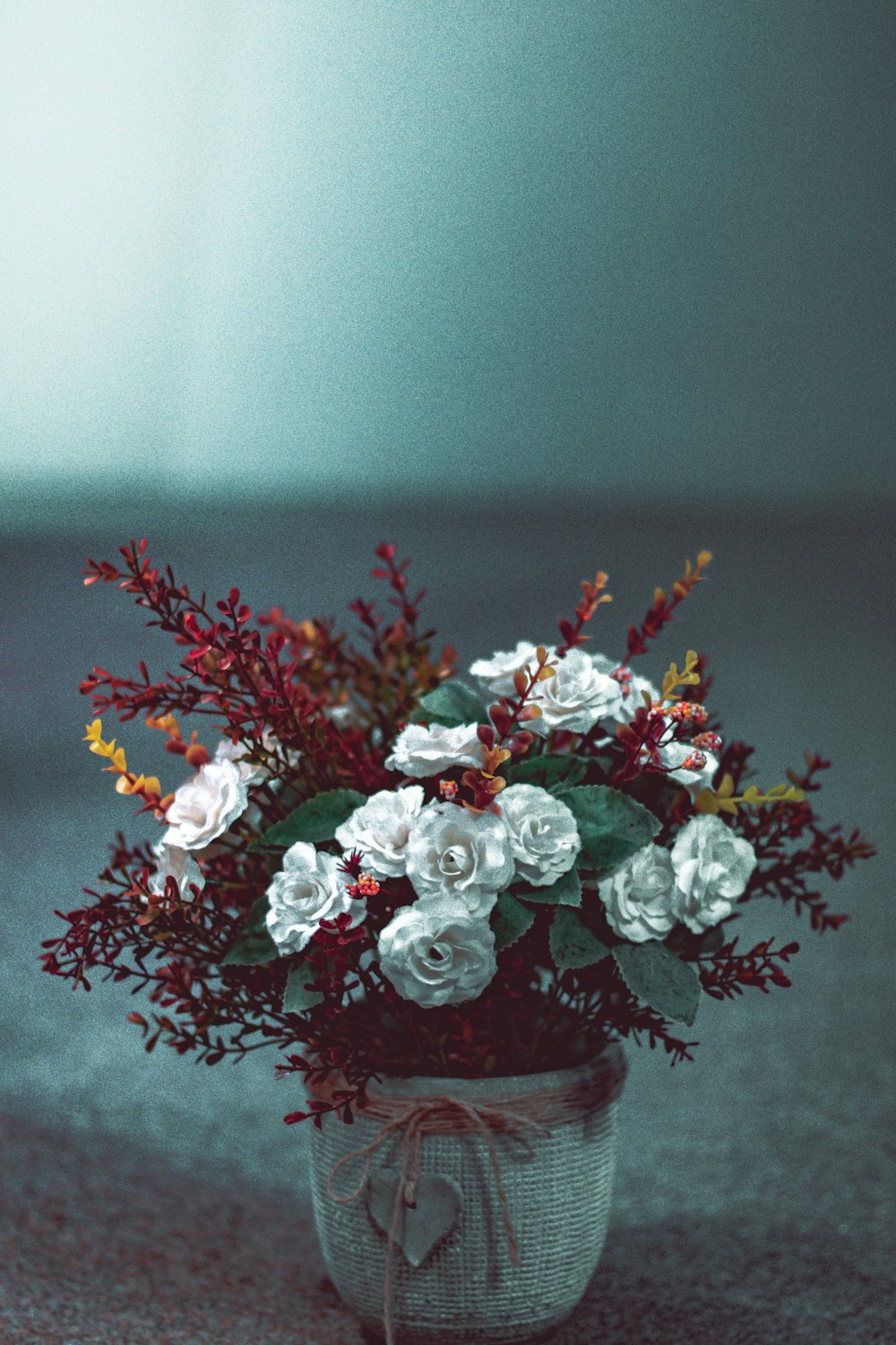 white-petaled flowers