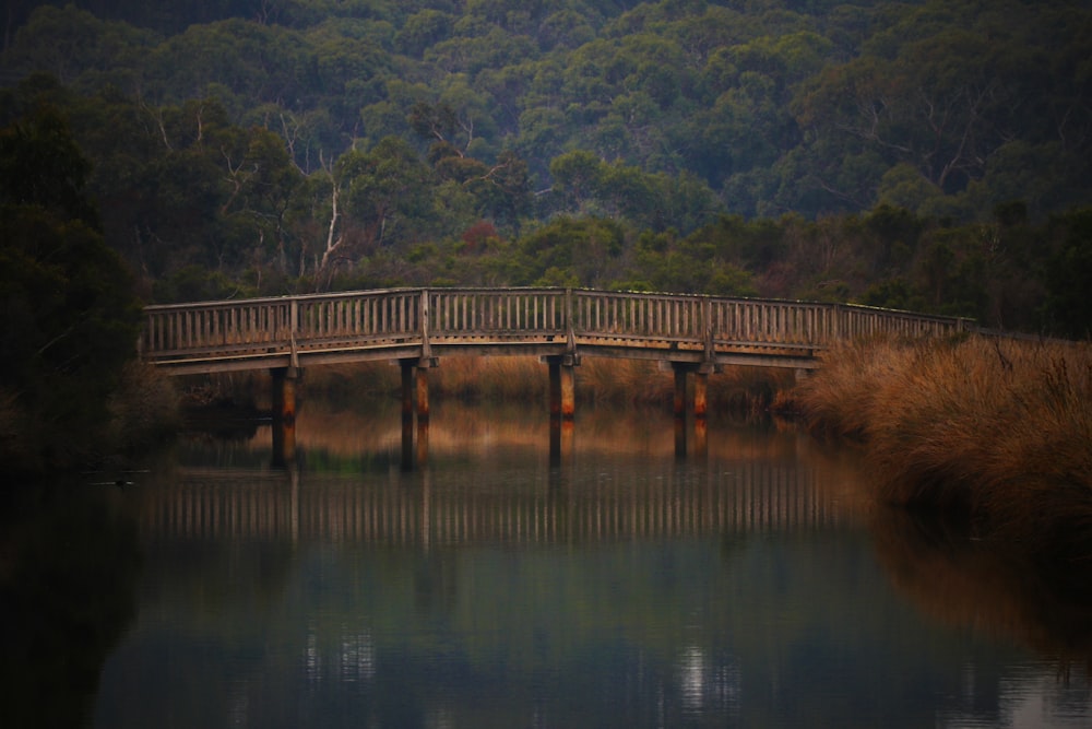 calm body of water