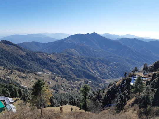 trees on mountains in Mussoorie India