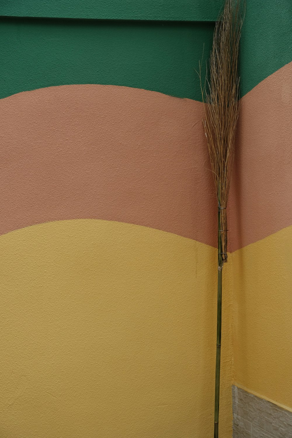 a plant is growing out of the corner of a wall