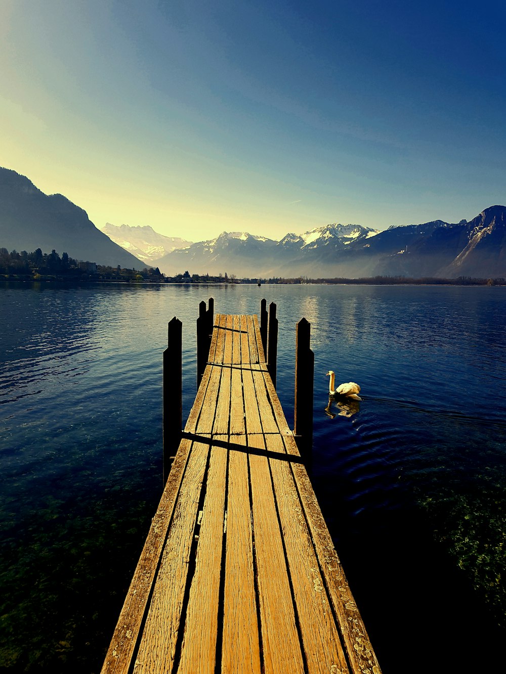 brown wooden dock bridge on body of water