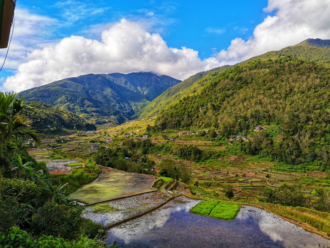 Hill station photo spot Hapao Rice Terraces San Juan