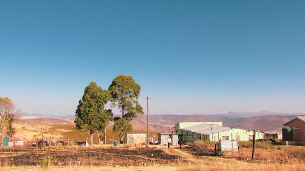 A rural landscape features a cluster of simple structures with corrugated metal roofs and colorful paint. A few large trees stand prominently in the foreground, with rolling brown hills and clear blue sky stretching in the distance.