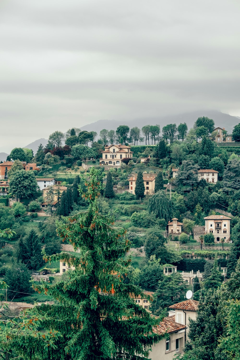 white concrete houses on hill