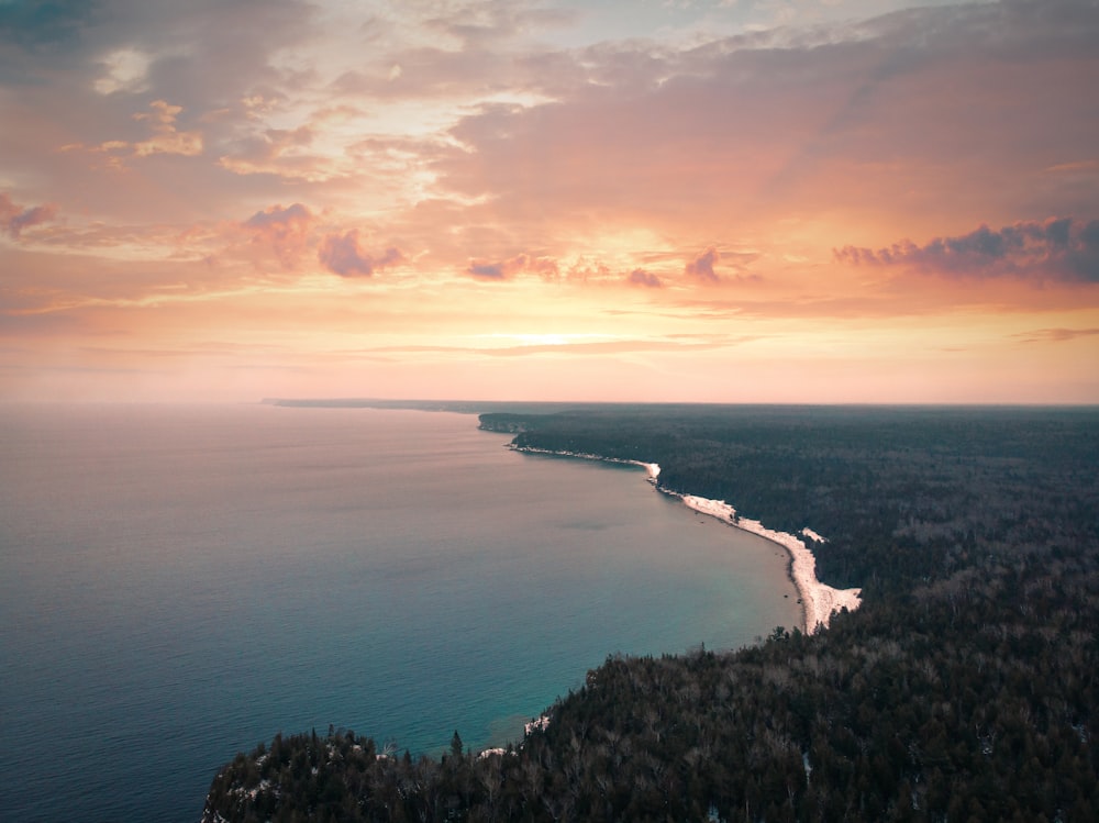 una vista di uno specchio d'acqua vicino a una foresta