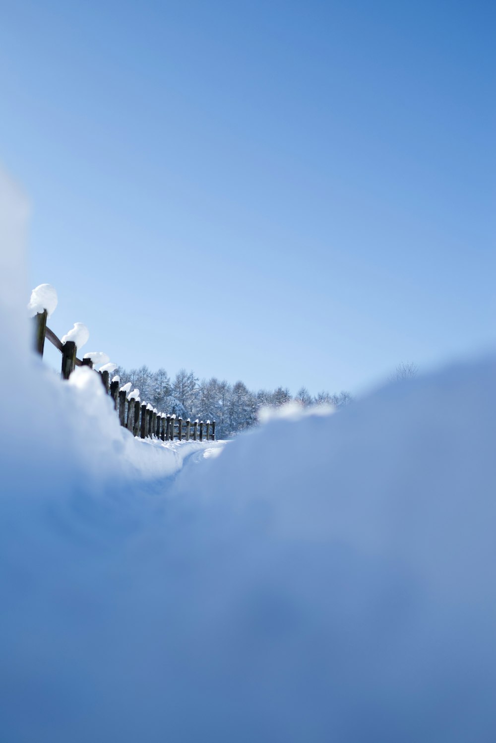 a train traveling through a snow covered forest