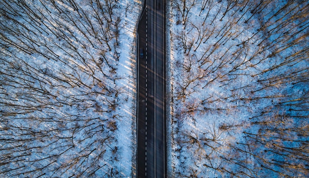 aerial photo of road